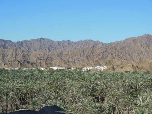 One more- this one was next to the oldest mosque in the UAE.