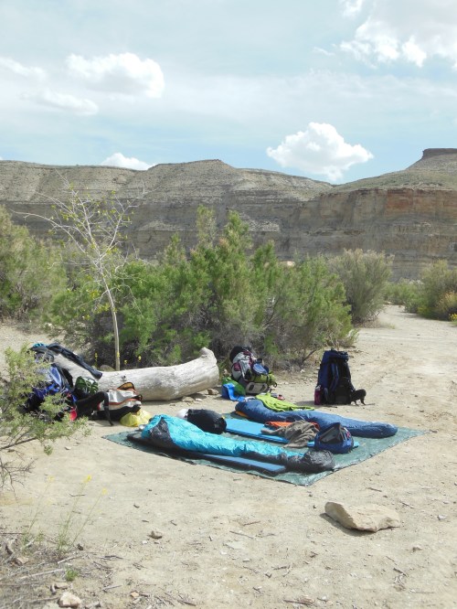 Camping under the stars.