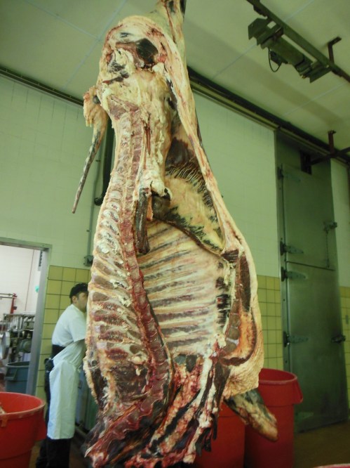 This is what a 400# side of grass-fed beef looks like!