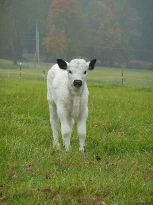 The cuteness factor is a little overwhelming!