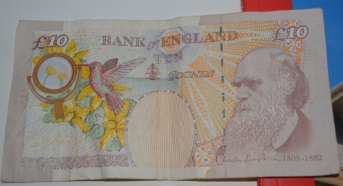 Though sometimes controversial in the US, Darwin is well loved in the UK.  He had a distinguished funeral at Westminster Abbey and is interred near the monument for Sir Isaac Newton.  