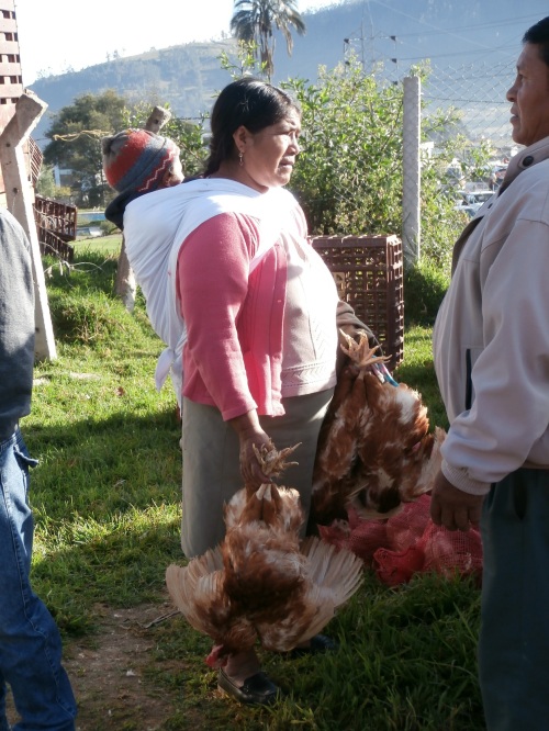 A woman wearing her baby and selling Gallina (old laying hens).  At $9/pair, these are more expensive than in the US!