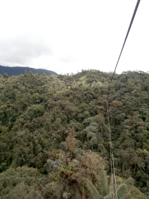 About 900m long, and absolutely stunning... A breathtaking way to reach a trailhead!