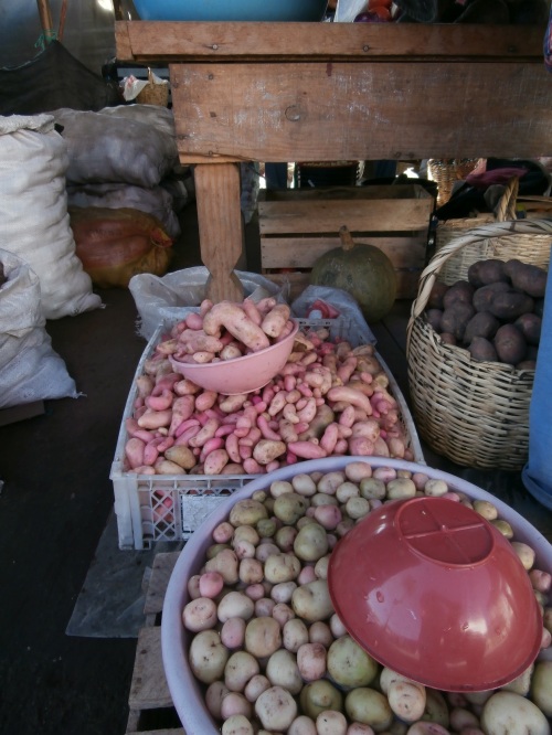 Potatoes are frequently served for lunch and dinner. They're a traditional crop, and there are varieties that  grow in the harsh Andes climate. They look quite a bit different to what you get in the store in the US!